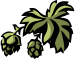 HOPs Homebrewers of the Palouse